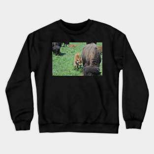 Bison Calf Crewneck Sweatshirt